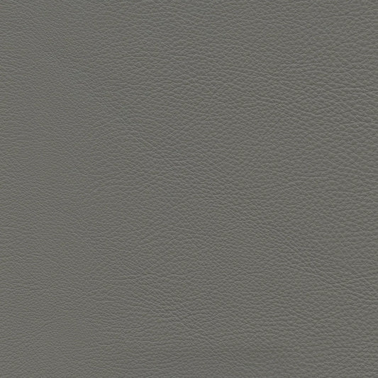 Birk D180 Mirror Grey Leather
