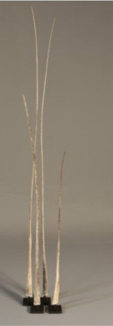 Stingray tail Set of 2 Was AED 8,925