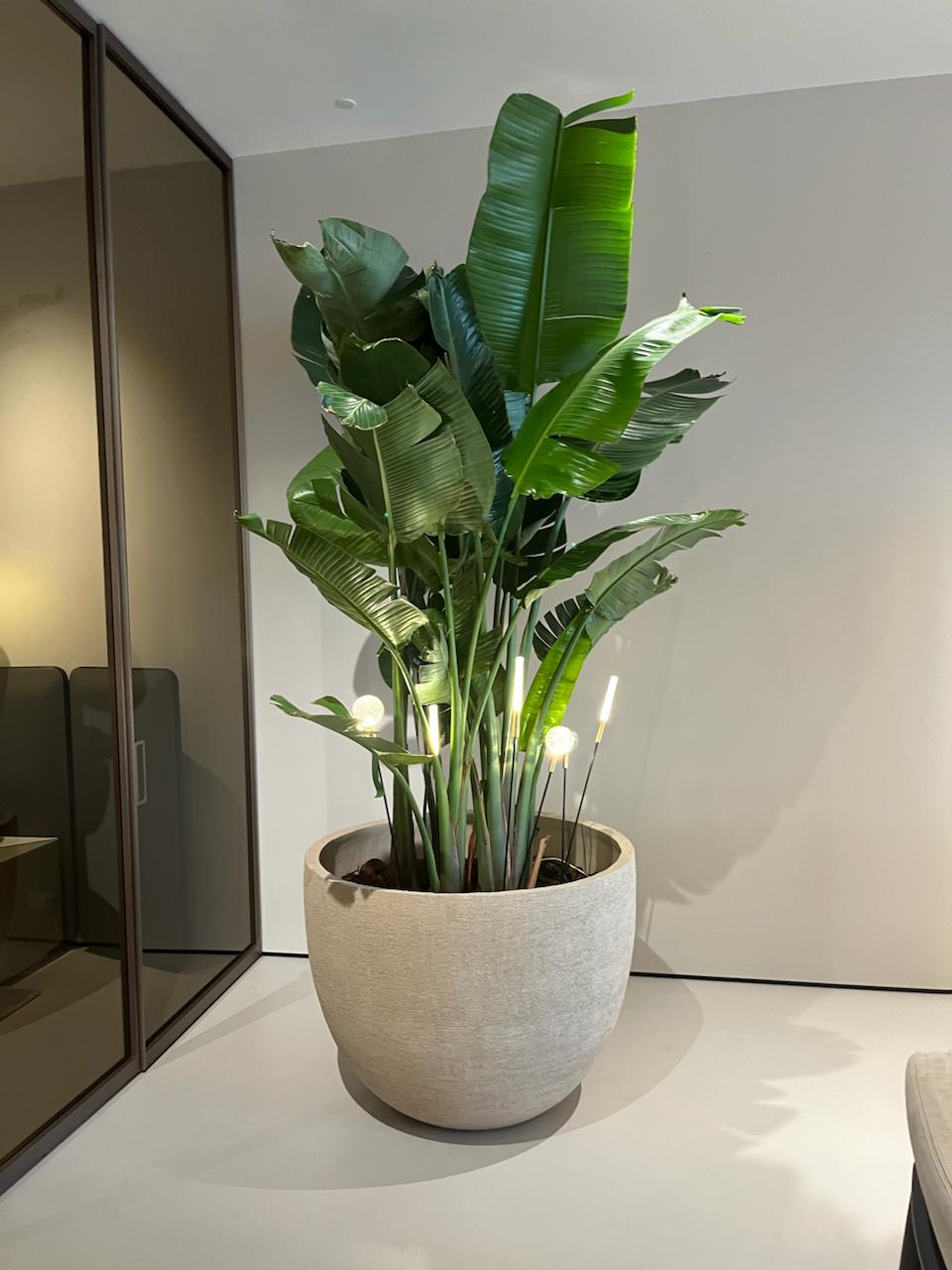 Texel Pot D100