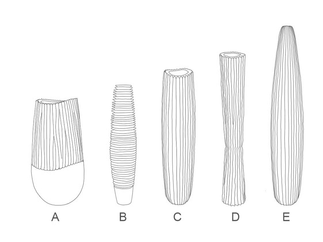 STYLING ITEM - Vase Kion-C / White / D11 x 42H