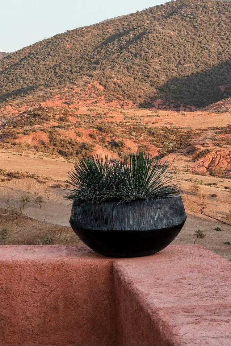 Atlantis Organic Pot  Bronze D80