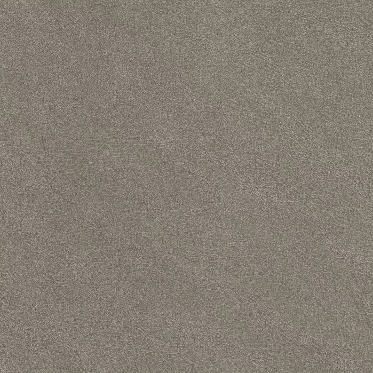 Odette Uno Dining Chair Taupe Leather