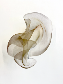 Tender Fluid IV