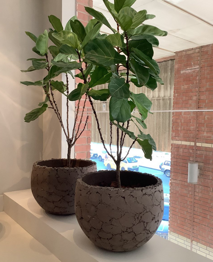 Lava Pot D62 Natural Brown
