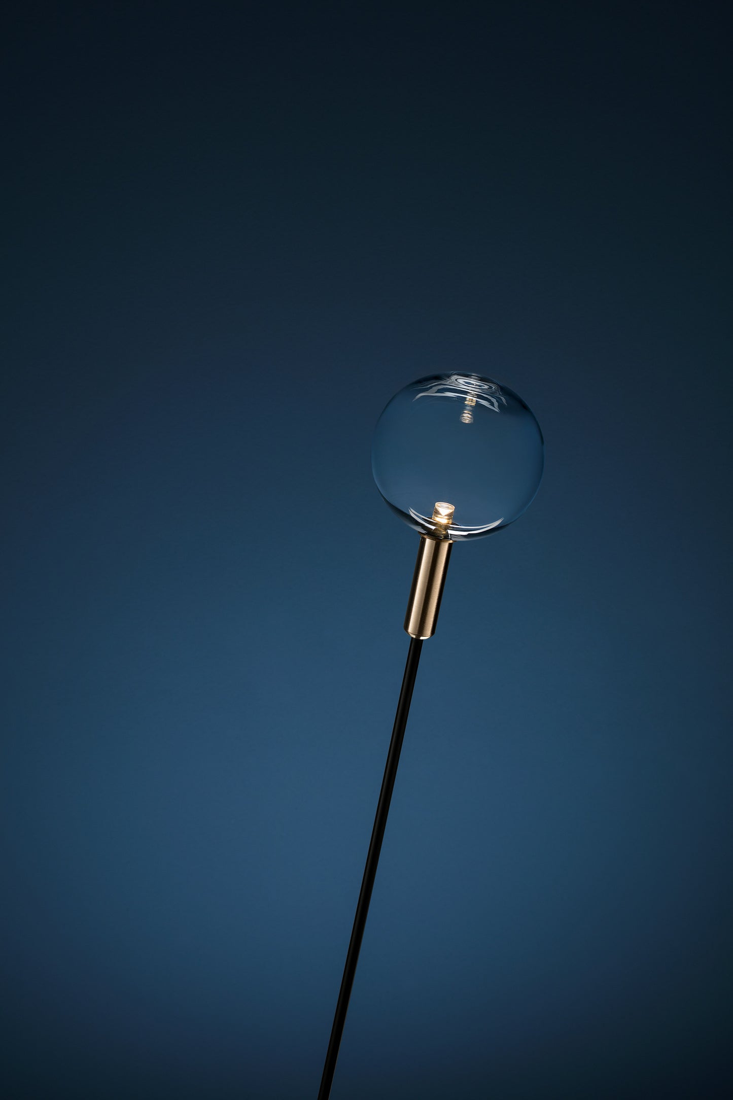 Floor lamp - Syphasfera / Black Stem / Brass / Transparent Glass / 75H / Cable 240 cm