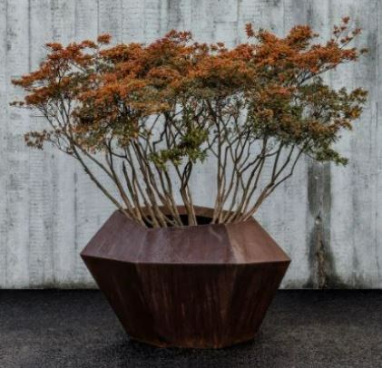 Cortina Low Pot