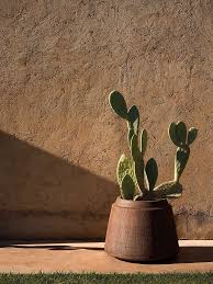 Nagori Pot High Ivory