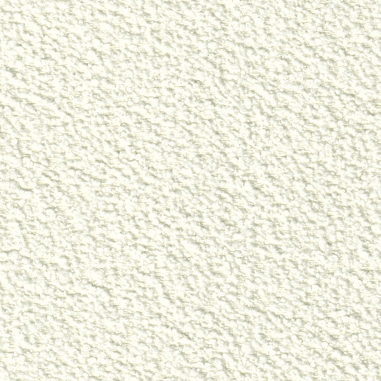 Cushion - Deco Throw / 55R SP Classic / Off-White / Fabric Ica 01 / D55