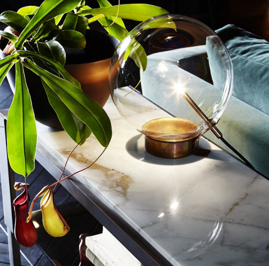 Bolle Tavolo 1 Table lamp Transaparent Glass