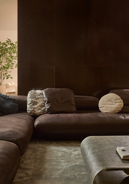 Decorative Cushion 40 Diario Brown