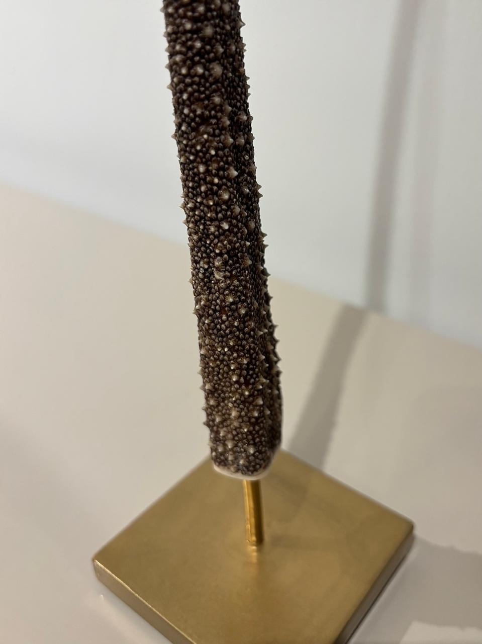 Stingray tail Set of 2 Was AED 8,925