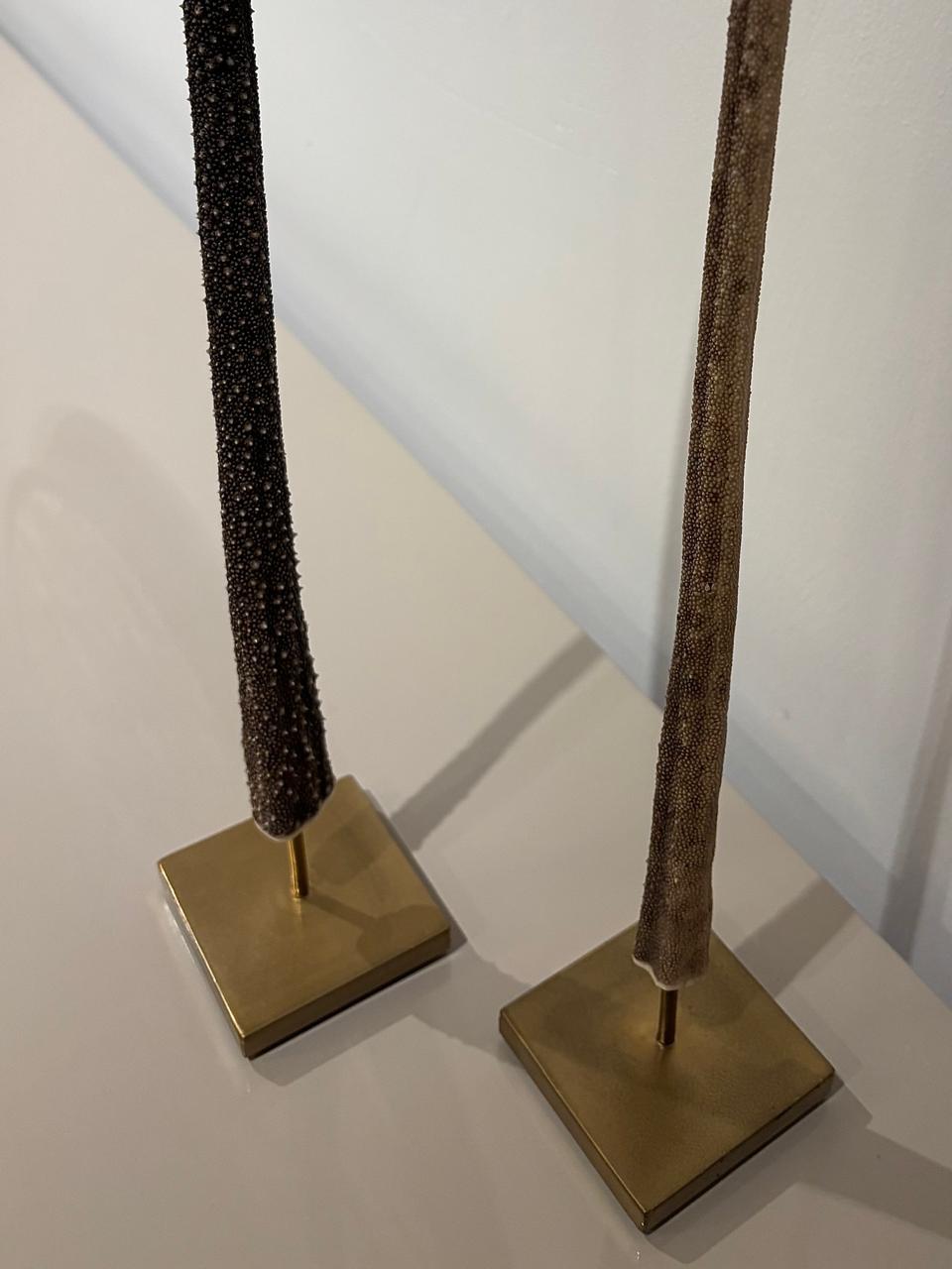 Stingray tail Set of 2 Was AED 8,925