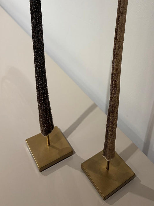 Stingray tail Set of 2 Was AED 8,925