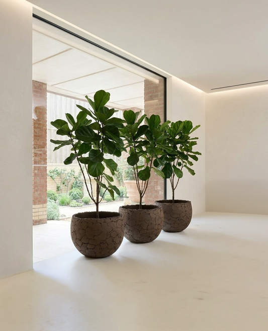 Lava Pot D62 Natural Brown