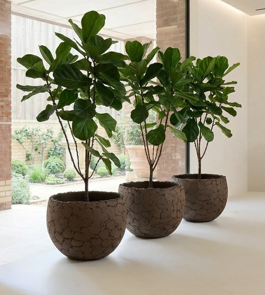 Lava Pot D62 Natural Brown